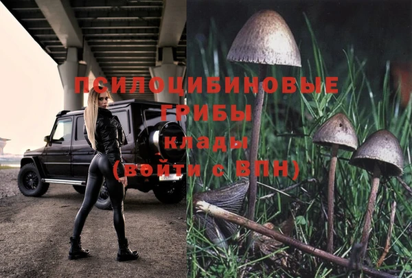 дживик Алзамай