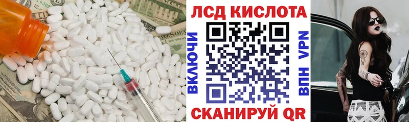 закладка  Приморск  кракен вход  LSD-25 экстази кислота 