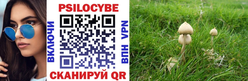 Галлюциногенные грибы GOLDEN TEACHER  Приморск 