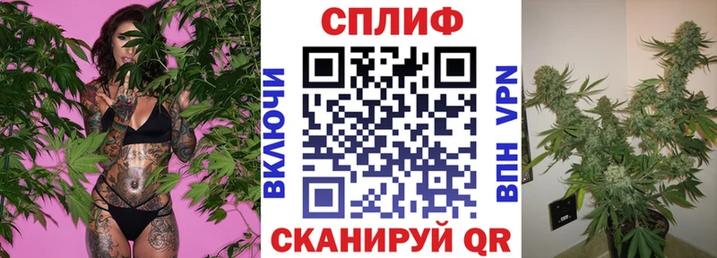 mega ссылка Приморск Марихуана конопля как найти